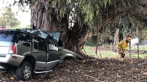 Driver killed after crashing into Eucalyptus tree off I-5